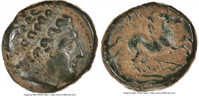 MACEDONIAN KINGDOM. Philip II (359-336 BC). AE unit (17mm, 7h). NGC Choice VF. Uncertain mint in Macedonia. Head of Apollo right, wearing taenia / ΦIΛ...