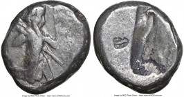 ACHAEMENID PERSIA. Darius I-Xerxes II (ca. 5th century BC). AR siglos (15mm). NGC Fine, countermarks. Lydo-Milesian standard. Sardes mint, ca. 485-420...