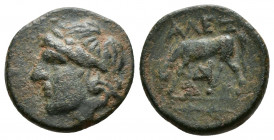 (Bronze.2.36g 16mm) TROAS. Alexandria. 261-246 BC
Head of Apollo right
Rev: Horse to left. 
SNG v. Aulock 1459