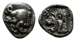 (Silver. 0.37g 7mm) Mysia. Kyzikos circa 480 BC. Tetartemorion AR
Forepart of boar left, tunny to right
Rev: Head of roaring lion left, star to uppe...