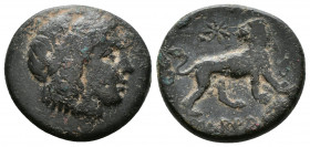 (Bronze. 5.18g 20mm) IONIA. Miletos (Circa 313/2-290 BC). Ae. Uncertain magistrate.
Laureate head of Apollo right.
Rev: Lion standing right, head le...