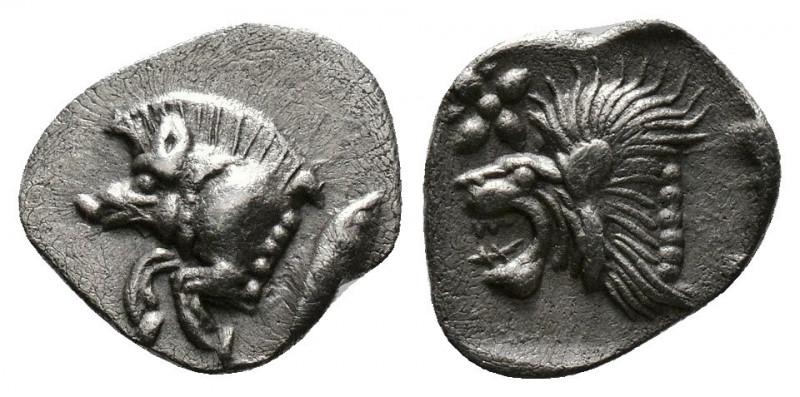 (Silver. 0.40g 10mm) Mysia, Kyzikos. Ca. 600-550 B.C. AR obol
Tunny head left o...