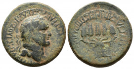 (Bronze, 10.71g 25mm) Vespasian Apameia, Phrygia. AD 69-79. 
ΑΥΤΟΚΡΑΤΟΡ ΚΑΙΣΑΡ ΣΕΒΑΣΤΟΣ ΟΥΕΣΠΑΣΙΑΝOΣ, laureate head right 
Rev.ΕΠΙ ΠΛΑΝΚΙΟΥ ΟΑΥΡΟΥ Κ...