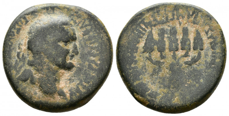 (Bronze, 11.28g 24mm) Vespasian Apameia, Phrygia. AD 69-79. 
ΑΥΤΟΚΡΑΤΟΡ ΚΑΙΣΑΡ ...