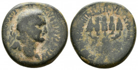 (Bronze, 11.28g 24mm) Vespasian Apameia, Phrygia. AD 69-79. 
ΑΥΤΟΚΡΑΤΟΡ ΚΑΙΣΑΡ ΣΕΒΑΣΤΟΣ ΟΥΕΣΠΑΣΙΑΝOΣ, laureate head right 
Rev. ΕΠΙ ΠΛΑΝΚΙΟΥ ΟΑΥΡΟΥ ...