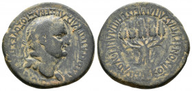 (Bronze, 9.20g 26mm) PHRYGIA. Apameia. Vespasian (69-79). Plancius Verus, magistrate. 
AYTOKPATΩP KAIΣAP ΣEBAΣTOΣ OYEΣΠΑΣIANOΣ. Laureate head right. ...