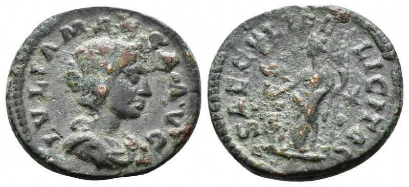 (Bronze.2.95g 19mm) Julia Maesa. Augusta AD 218-224. AE
 IVLIA MAESA AVG, diade...