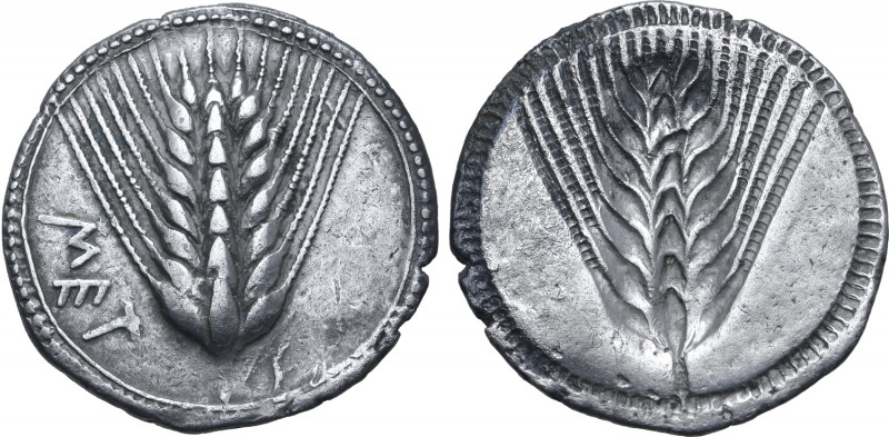Lucania, Metapontion AR Stater. Circa 540-510 BC. Ear of barley with eight grain...