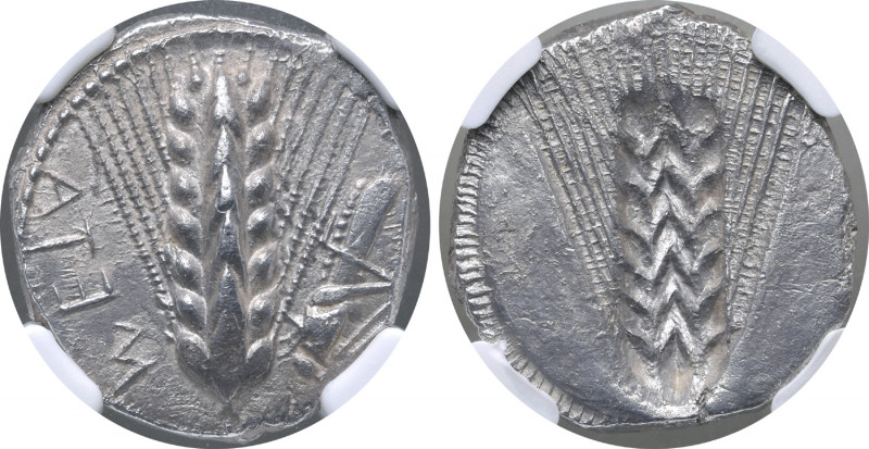 Lucania, Metapontion AR Stater. Circa 470-440 BC. Ear of barley with seven grain...