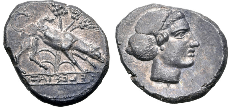 Sicily, Segesta AR Didrachm. Circa 412-400 BC. Hound scenting to right, three gr...