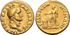 Galba AV Aureus. Rome, July AD 68 - January AD 69. IMP SER GALBA CAESAR AVG, laureate and draped bust to right / SALVS GEN HVMANI, female figure stand...