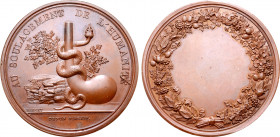 France, First Republic. Napoléon Bonaparte, as Premier Consul, Æ Medal. Celebrating the Paris Pharmagolocial School. 1803. Dies by Brenet; Denon, mint...