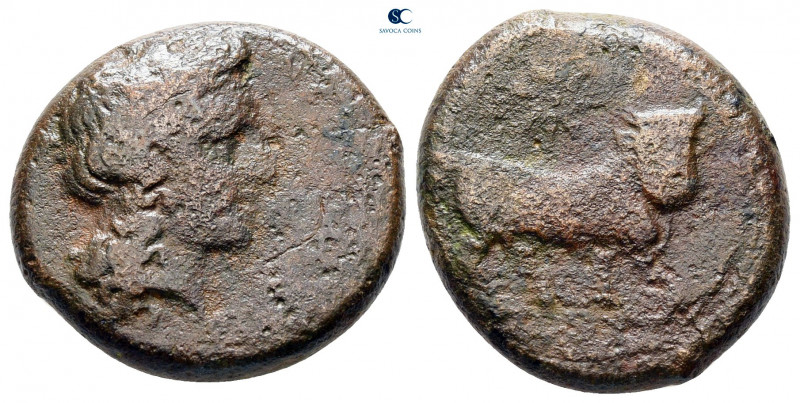 Campania. Cales circa 265-240 BC. 
Bronze Æ

20 mm, 6,51 g



fine