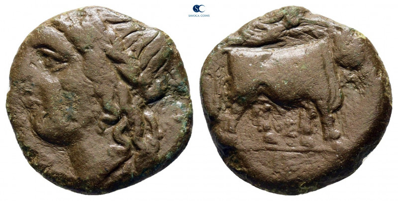 Campania. Neapolis circa 270-225 BC. 
Bronze Æ

16 mm, 2,45 g



nearly v...