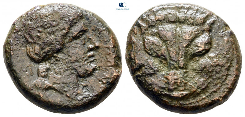 Bruttium. Rhegion circa 351-280 BC. 
Bronze Æ

20 mm, 7,42 g



nearly ve...