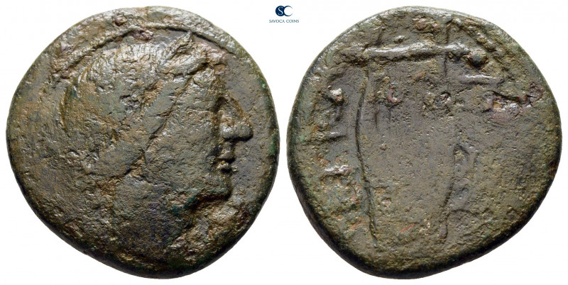 Bruttium. Rhegion circa 260-215 BC. 
Bronze Æ

23 mm, 6,31 g



nearly ve...