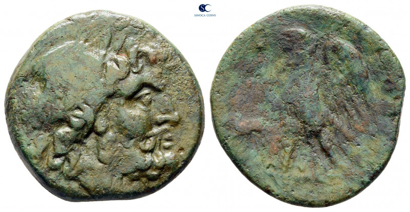 Bruttium. The Brettii circa 214-211 BC. 
Unit Æ

22 mm, 6,27 g



nearly ...