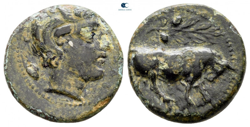 Sicily. Gela circa 420-405 BC. 
Tetras Æ

16 mm, 2,82 g



nearly very fi...