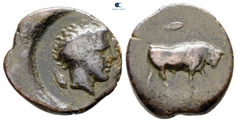 Sicily. Gela circa AD 420-405. 
Tetras Æ

18 mm, 3,48 g



nearly very fi...