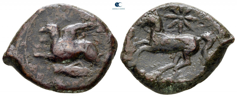 Sicily. Kainon circa 360-340 BC. 
Bronze Æ

23 mm, 7,08 g



very fine