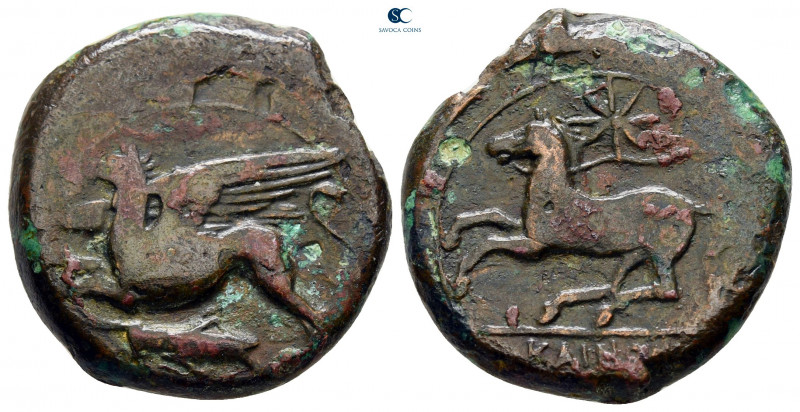 Sicily. Kainon circa 360-340 BC. 
Bronze Æ

23 mm, 10,42 g



very fine