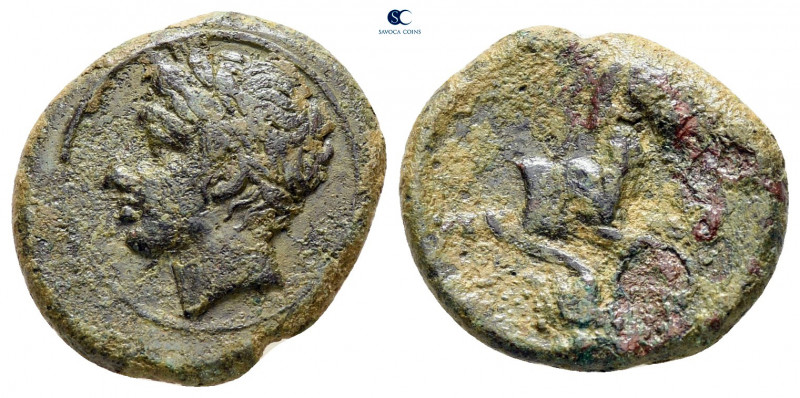 Sicily. Panormos as Ziz circa 336-330 BC. 
Bronze Æ

16 mm, 2,78 g



nea...