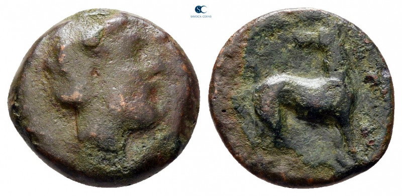 Sicily. Segesta circa 416-413 BC. 
Bronze Æ

12 mm, 1,32 g



nearly very...