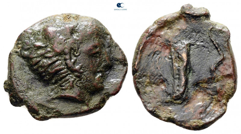 Sicily. Selinus circa 415-409 BC. 
Hexas Æ

17 mm, 3,14 g



nearly very ...