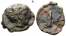 Sicily. Selinus circa 415-409 BC. Hexas Æ
