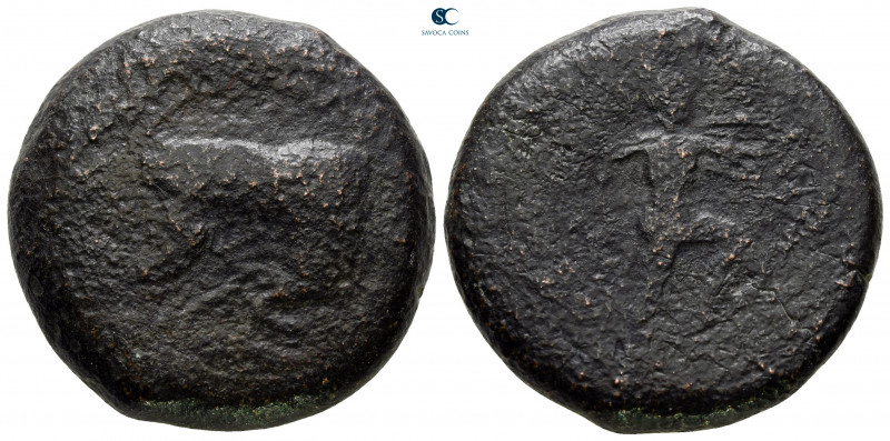 Sicily. Sileraioi circa 340-330 BC. 
Litra Æ

29 mm, 27,30 g



fine