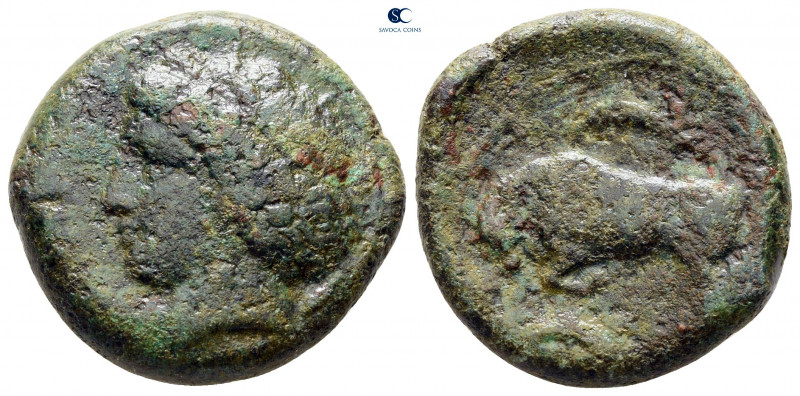 Sicily. Syracuse. Agathokles 317-289 BC. 
Bronze Æ

21 mm, 10,34 g



nea...