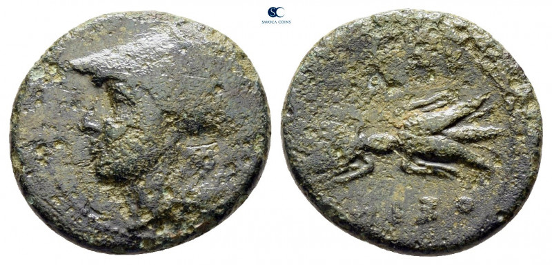 Sicily. Syracuse circa 305-295 BC. 
Trias Æ

14 mm, 1,72 g



fine
