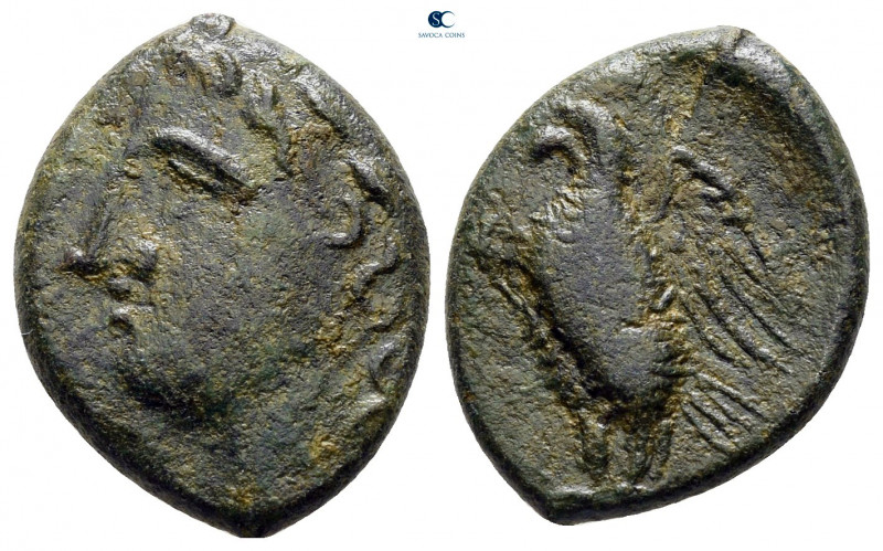 Sicily. Syracuse. Hiketas II 287-278 BC. 
Bronze Æ

19 mm, 3,72 g



very...