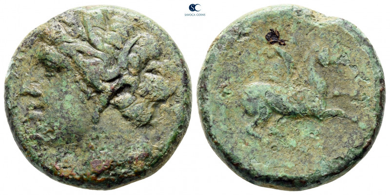 Sicily. Syracuse. Hieron II 275-215 BC. 
Bronze Æ

23 mm, 11,00 g



near...