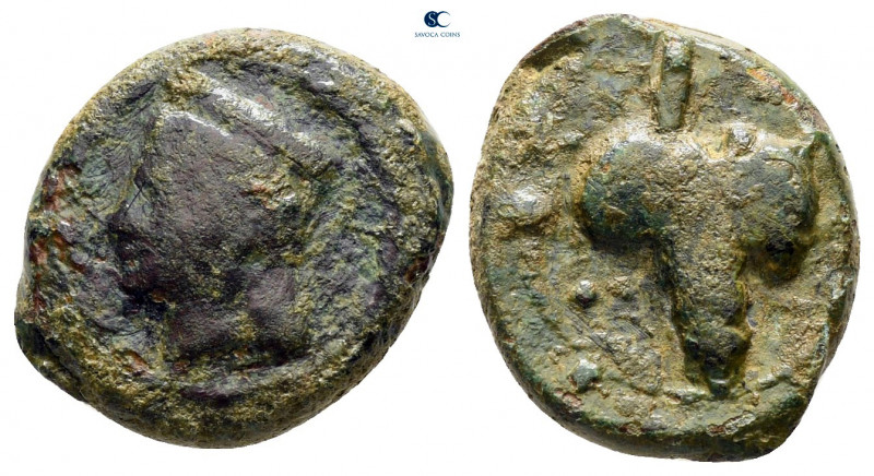 Sicily. Tauromenion circa 305-289 BC. 
Hexas Æ

16 mm, 3,14 g



nearly v...