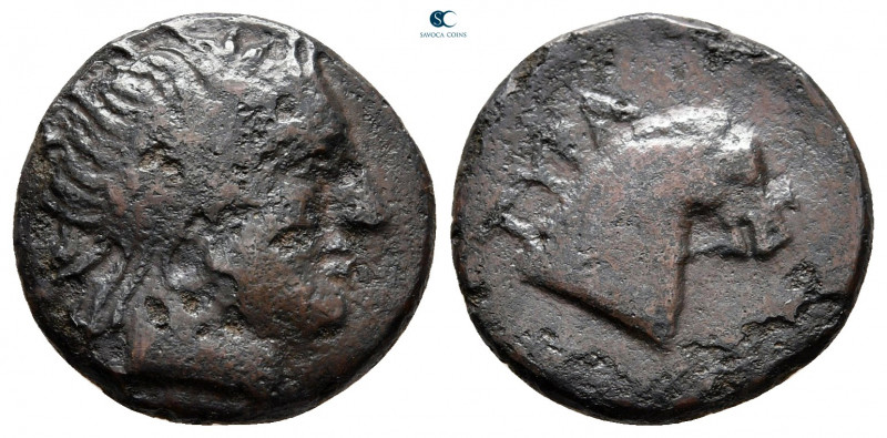 Scythia. Tyra circa 350-300 BC. 
Bronze Æ

15 mm, 3,43 g



nearly very f...