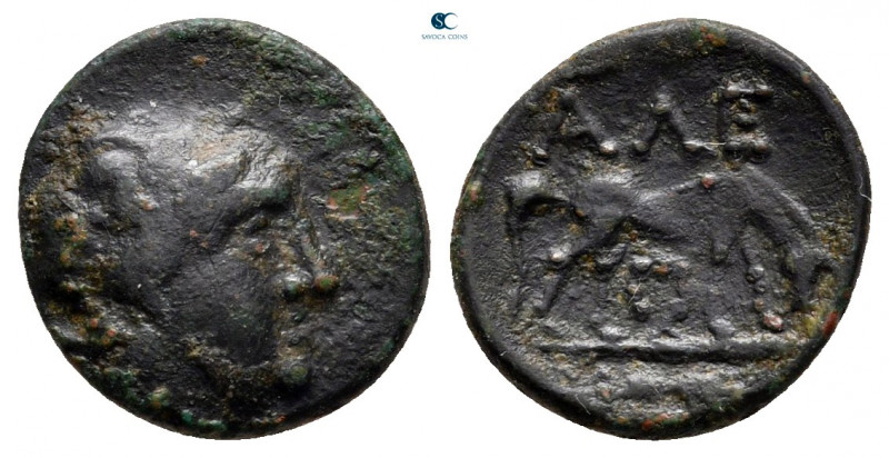 Troas. Alexandreia circa 261-246 BC. 
Bronze Æ

13 mm, 1,03 g



nearly v...