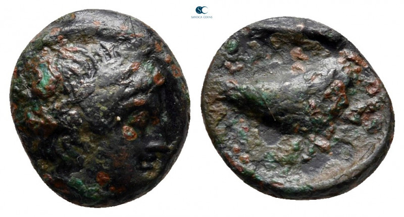 Aiolis. Gyrneion circa 300-200 BC. 
Bronze Æ

11 mm, 1,26 g



fine