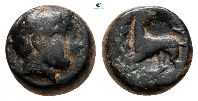 Lesbos. Nesos circa 300-200 BC. 
Bronze Æ

9 mm, 1,23 g



fine