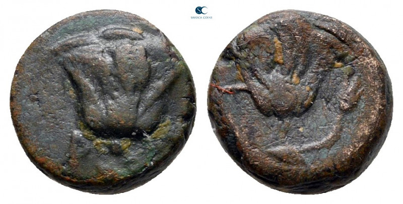 Islands off Caria. Rhodos circa 205-200 BC. 
Bronze Æ

10 mm, 1,31 g



v...