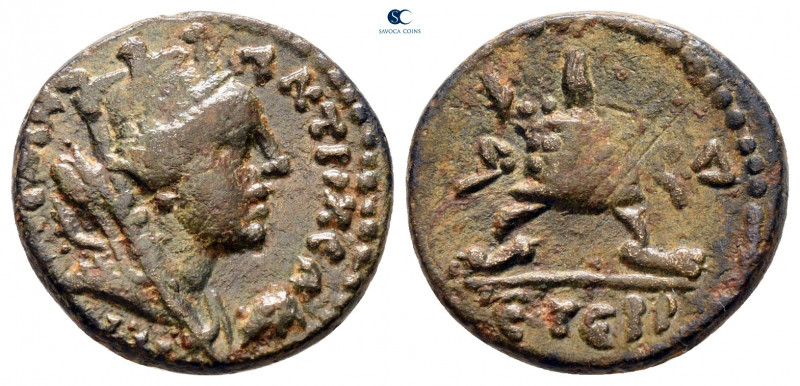 Seleucis and Pieria. Antioch. Pseudo-autonomous issue AD 50-200. 
Bronze Æ

1...