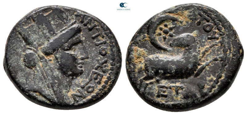 Seleucis and Pieria. Antioch. Pseudo-autonomous issue AD 55-56. 
Bronze Æ

20...