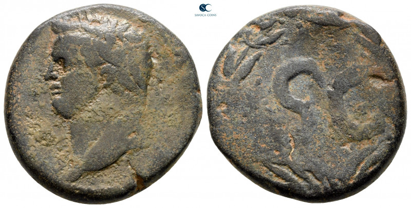 Seleucis and Pieria. Antioch. Domitian AD 81-96. 
Bronze Æ

26 mm, 13,86 g
...