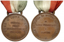 Modena, medaglia ai volontari della provincia di Modena per le guerre di indipendenza italiana 1860, RRRR Br mm 22 g 5,05 questo esemplare in bronzo, ...