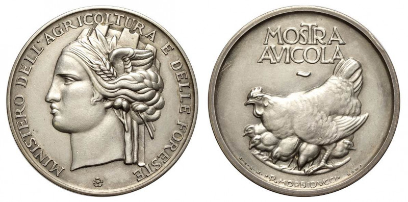 Medaglia premio del Ministero dell’Agricoltura e delle Foreste per una mostra av...