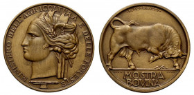 Medaglia premio del Ministero dell’Agricoltura e delle Foreste per una mostra bovina, opus Morbiducci, RR Br mm 40 g 26,25 colpetto al bordo altriment...
