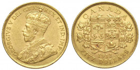 Canada, George V, 5 Dollars 1912, Au mm 22 SPL