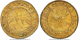 Central American Republic gold 1/2 Escudo 1825 NG-M MS63 NGC, Nueva Guatemala mint, KM5, Fr-30, Stickney-C99. A sharp beauty, bearing some usual adjus...