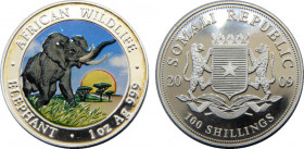 SOMALIA 2009 Republic,Elephant; Silver Bullion Coinage,Proof Coloured( Mintage 5000) 100 SHILLINGS SILVER PF31.3g 
KM# 213