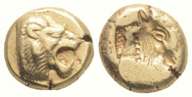 Greek
LESBOS, Mytilene. (Circa 521-478 BC).
EL Hekte (10.5mm, 2.54g)
Head of roaring lion right / Incuse head of calf right; rectangular punch to left...